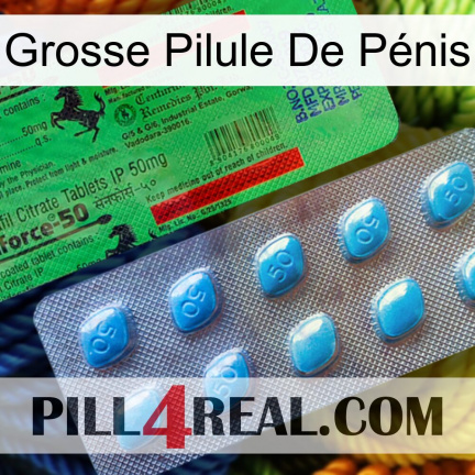 Grosse Pilule De Pénis new03